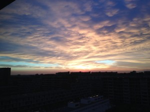 IMG_0257
