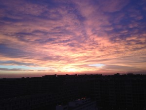 IMG_0259