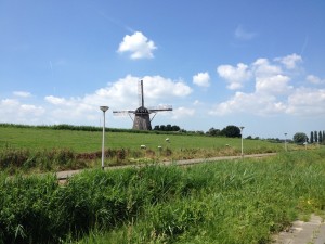 IMG_0391