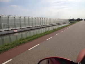 IMG_0393