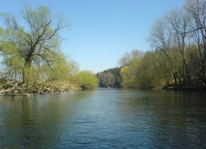 Kanufahren Donau Blog