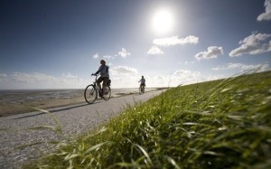 679_fullimage_fietsen wadden terschelling.jpg_560x350