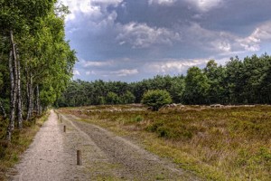utrechtse-heuvelrug