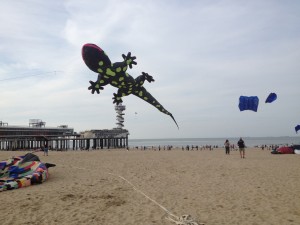 IMG_0673