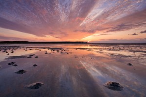 04_texel