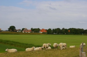 Texel_view_of_Oost